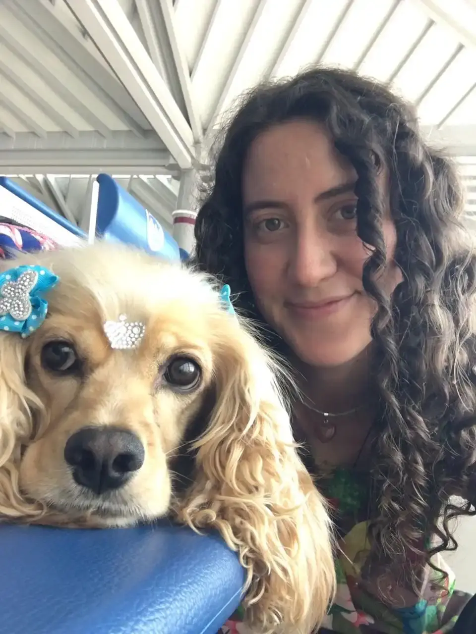 Servicio Pet Nanny para Traslado de Mascotas